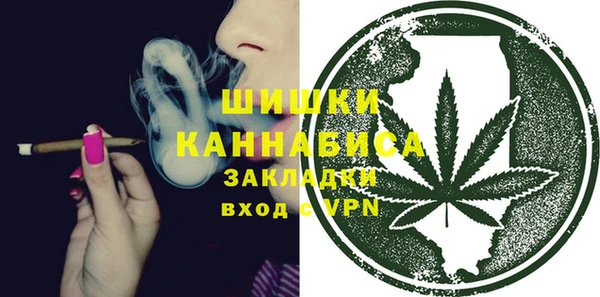 МДПВ Бронницы
